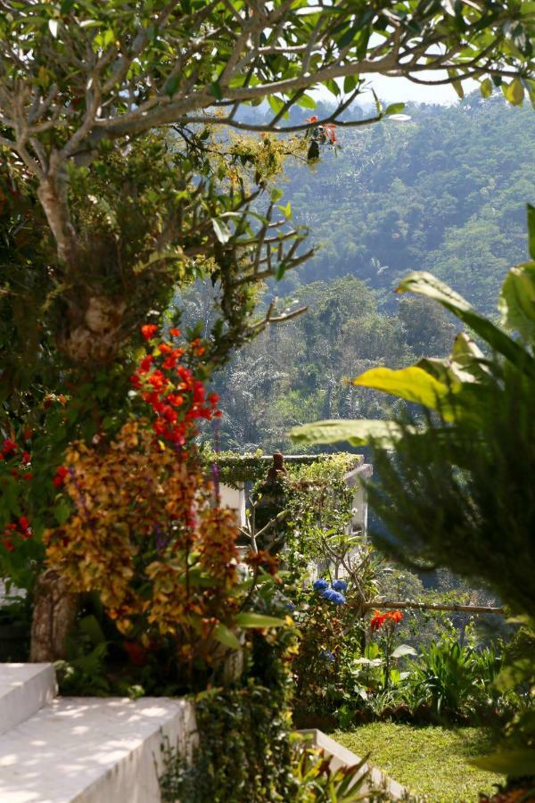 Pondok Plantation Luxury Mountain Escape Bedugul Bedugul  Exterior photo